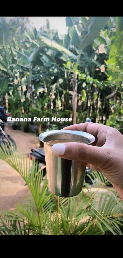 Banana Farm House Hampi Kültér fotó