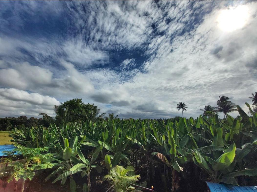 Banana Farm House Hampi Kültér fotó