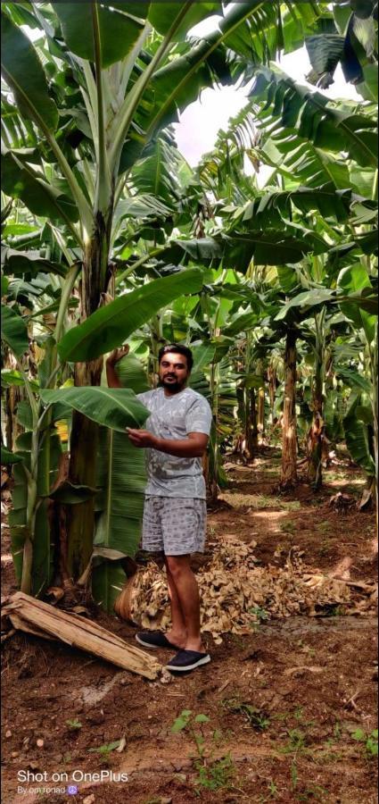 Banana Farm House Hampi Kültér fotó